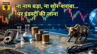 दिग्गज नहीं, इन 3 ‘स्पेशलिस्ट’ कंपनियों का है बोलबाला! मार्केट के वो छिपे उस्ताद जिनके बिना इंडस्ट्री है अधूरी