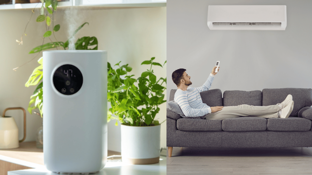 AC को दे रहा टक्कर… जानें क्या है Humidifier, कैसे करता है काम और कितनी है कीमत AC को दे रहा टक्कर… जानें क्या है Humidifier, कैसे करता है काम और कितनी है कीमत