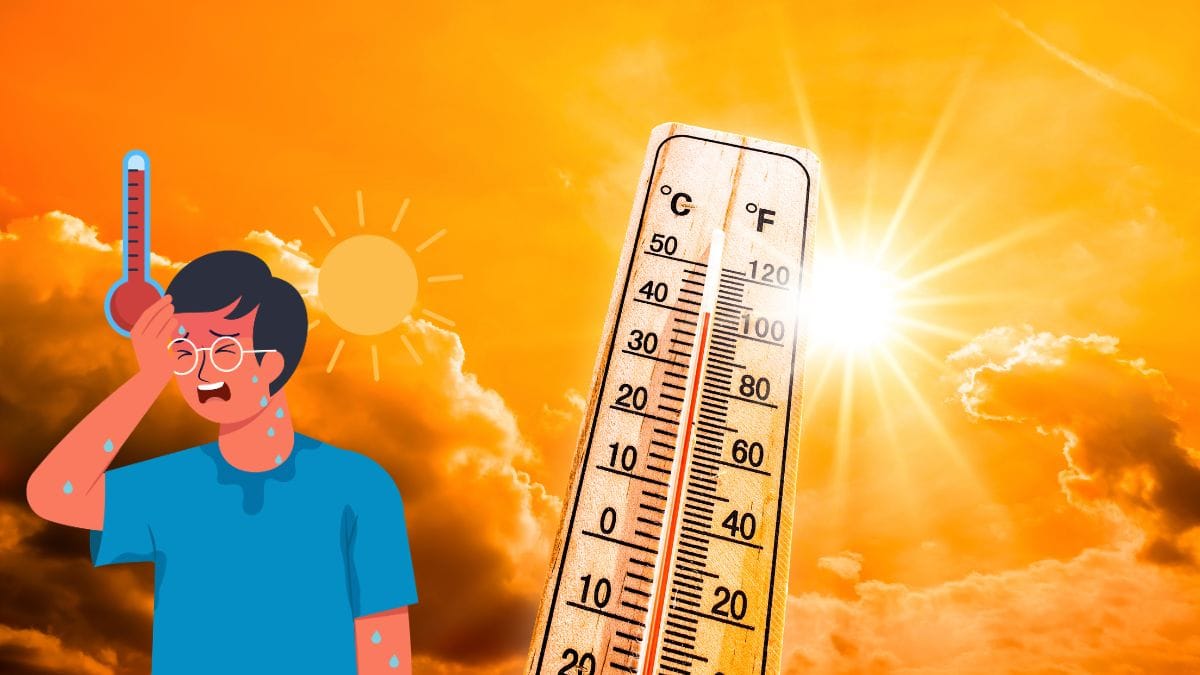 देश में बढ़ेगी भीषण गर्मी, राजस्थान और यूपी में हीटवेव का अलर्ट; कई राज्यों में बारिश की संभावना