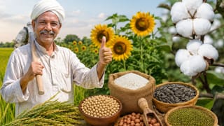 किसानों को बड़ी सौगात! सरकार ने 14 खरीफ फसलों का MSP बढ़ाया, सूरजमुखी और कपास में सबसे ज्यादा बढ़ोतरी