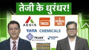Ola, Gland Pharma, Akums, Tata Chem, Vedanta, IRCTC, Chennai Petro, Vishal Mega Mart में क्या करें?