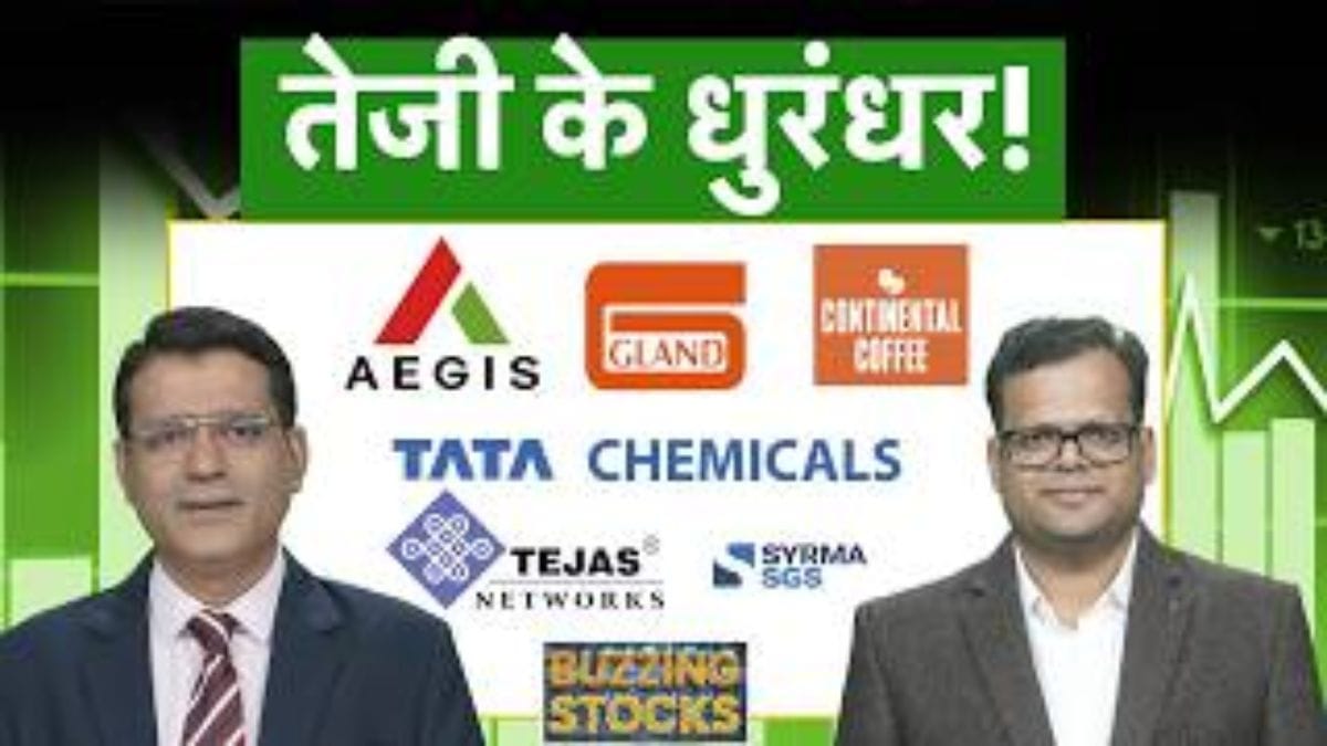 Ola, Gland Pharma, Akums, Tata Chem, Vedanta, IRCTC, Chennai Petro, Vishal Mega Mart में क्या करें?