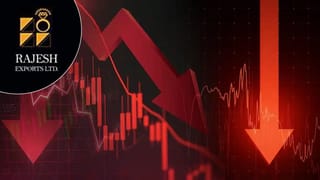 SEBI के आरोपों पर राजेश एक्सपोर्ट की सफाई, कहा- नहीं हुई कोई हेराफेरी