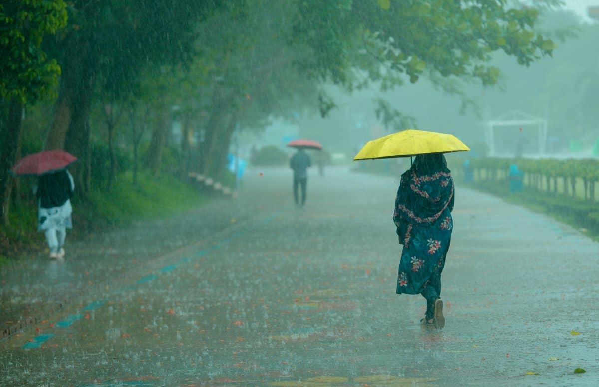 मानसून ने पूरे देश को किया कवर, अब इन राज्यों में बरसेंगे बादल; IMD ने जारी किया ताजा अपडेट मानसून ने पूरे देश को किया कवर, अब इन राज्यों में बरसेंगे बादल; IMD ने जारी किया ताजा अपडेट