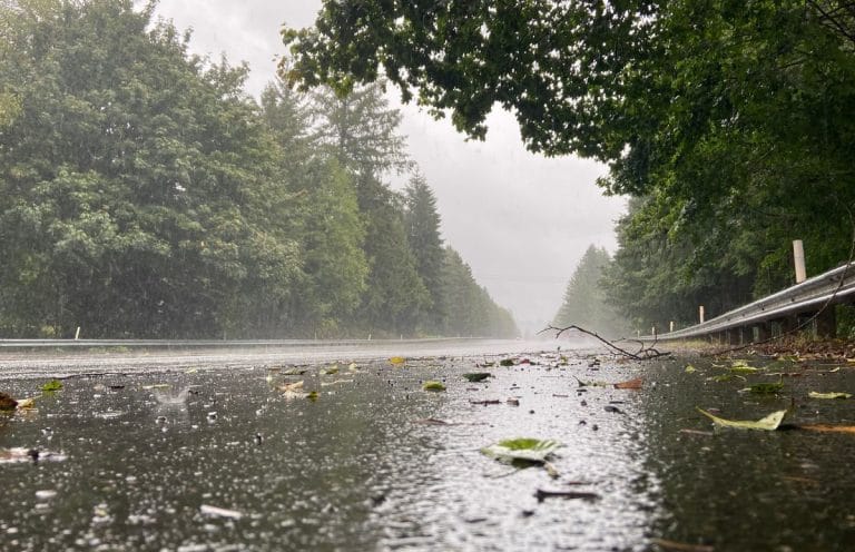 Monsoon Alert; मौसम का बदला मिजाज! दिल्ली पहुंचा मानसून, कई राज्यों में मूसलाधार बारिश की चेतावनी