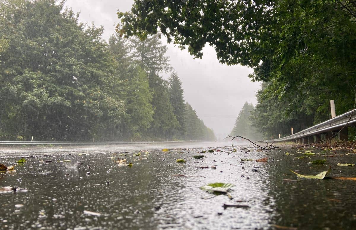 Monsoon Alert; मौसम का बदला मिजाज! दिल्ली पहुंचा मानसून, कई राज्यों में मूसलाधार बारिश की चेतावनी Monsoon Alert; मौसम का बदला मिजाज! दिल्ली पहुंचा मानसून, कई राज्यों में मूसलाधार बारिश की चेतावनी
