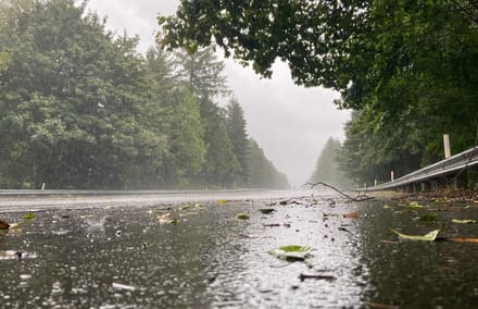 Monsoon Alert; मौसम का बदला मिजाज! दिल्ली पहुंचा मानसून, कई राज्यों में मूसलाधार बारिश की चेतावनी
