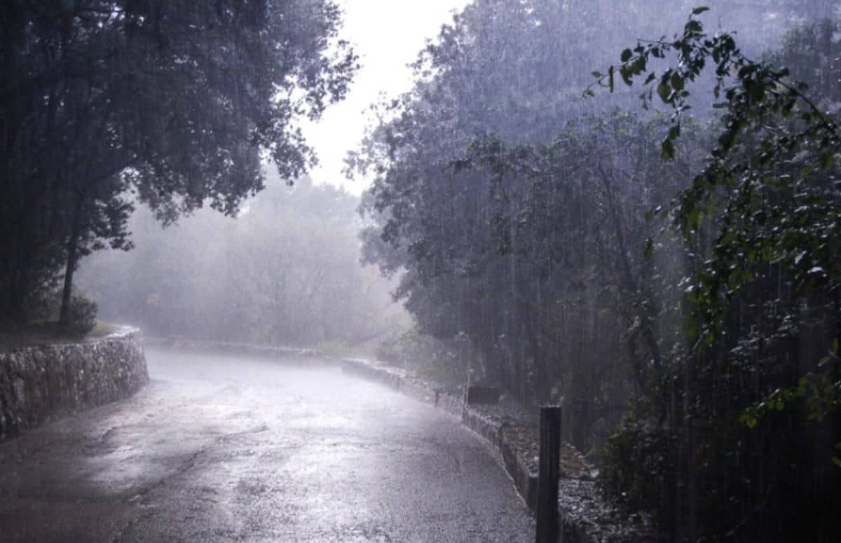 उत्तर भारत में अगले 7 दिन भारी बारिश का अलर्ट, दिल्ली-UP समेत कई राज्यों में बरसेंगे बादल; IMD की चेतावनी उत्तर भारत में अगले 7 दिन भारी बारिश का अलर्ट, दिल्ली-UP समेत कई राज्यों में बरसेंगे बादल; IMD की चेतावनी