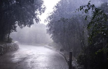 उत्तर भारत में अगले 7 दिन भारी बारिश का अलर्ट, दिल्ली-UP समेत कई राज्यों में बरसेंगे बादल; IMD की चेतावनी