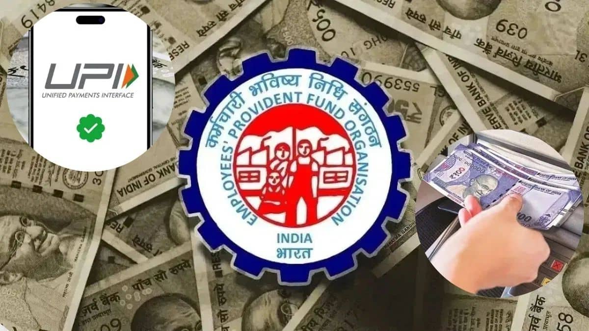 PF निकालने वालों की बल्ले-बल्ले! EPFO से 24-48 घंटे में अकाउंट में आएगा पैसा PF निकालने वालों की बल्ले-बल्ले! EPFO से 24-48 घंटे में अकाउंट में आएगा पैसा