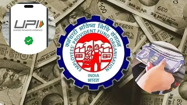 PF निकालने वालों की बल्ले-बल्ले! EPFO से 24-48 घंटे में अकाउंट में आएगा पैसा PF निकालने वालों की बल्ले-बल्ले! EPFO से 24-48 घंटे में अकाउंट में आएगा पैसा