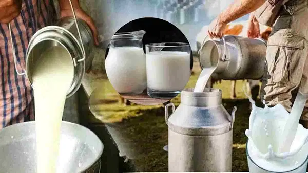 2 रुपए प्रति लीटर महंगा हो जाएगा दूध, 11 अगस्त से इस राज्य में बढ़ने वाले हैं दाम 2 रुपए प्रति लीटर महंगा हो जाएगा दूध, 11 अगस्त से इस राज्य में बढ़ने वाले हैं दाम