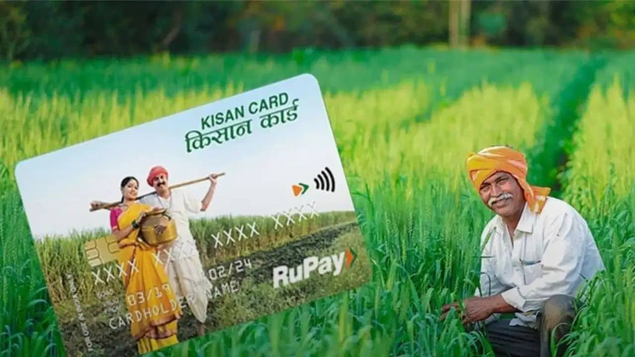 KCC पर बड़ा अपडेट! अब बकरी पालन और सूअर पालन करने वालों को भी मिलेगा सस्ता लोन KCC पर बड़ा अपडेट! अब बकरी पालन और सूअर पालन करने वालों को भी मिलेगा सस्ता लोन