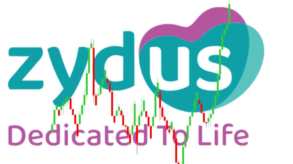 Zydus Lifesciences Q1 Results: 36% घटा प्रॉफिट लेकिन 22% बढ़ी इनकम; नतीजों के बाद 5% चढ़ा शेयर