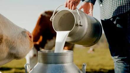 भारत में बदल रहा दूध का बाजार! डेयरी कंपनियों के सामने नई चुनौती