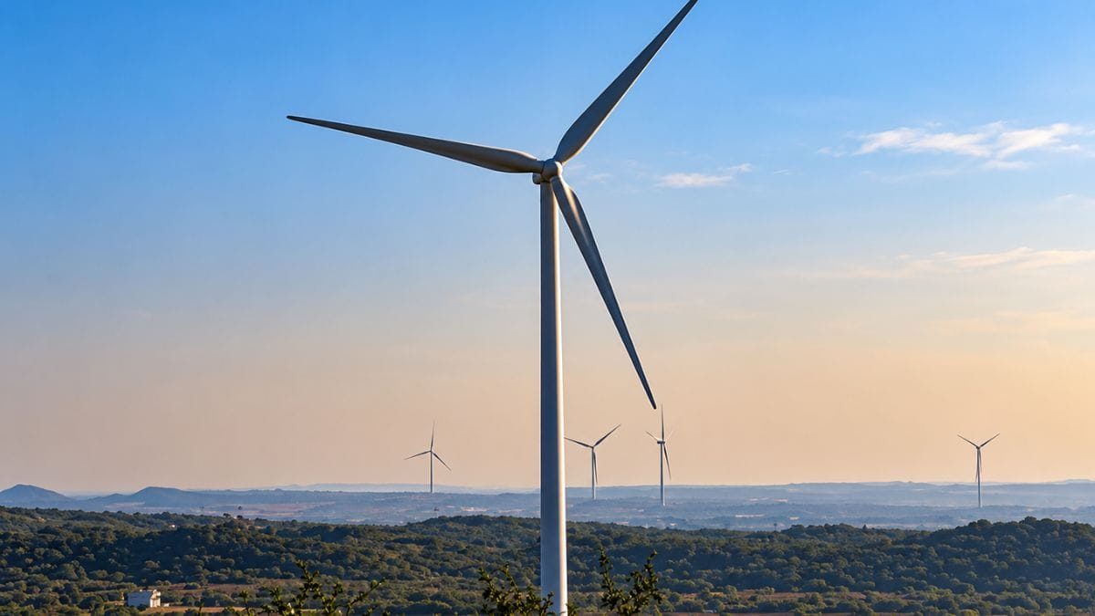 अडानी विंड को 5 बिजली कंपनियों से मिले ऑर्डर, 5 GW तक बढ़ेगी क्षमता; लिस्ट में NTPC और जिंदल ग्रुप शामिल