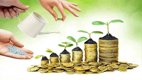 ₹18,000 से ₹4.2 लाख महीने की कमाई तक कैसे पहुंचा युवक? जानिए सफलता की कहानी ₹18,000 से ₹4.2 लाख महीने की कमाई तक कैसे पहुंचा युवक? जानिए सफलता की कहानी