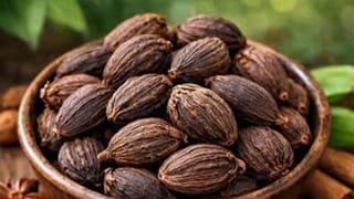 भारत के ‘काले सोने’ पर संकट, हाथ से निकलेगा 48 करोड़ डॉलर का बाजार?